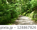 森の中の道 128867826