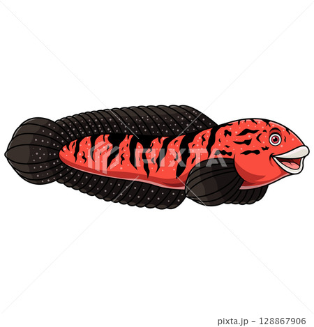 Cartoon channa marulioides snakehead on white background 128867906