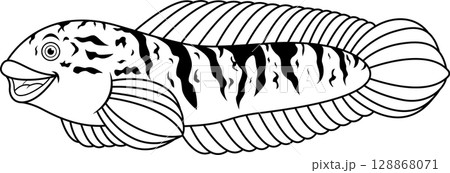 Snakehead fish channa line art 128868071