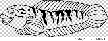 Snakehead fish channa line art 128868071