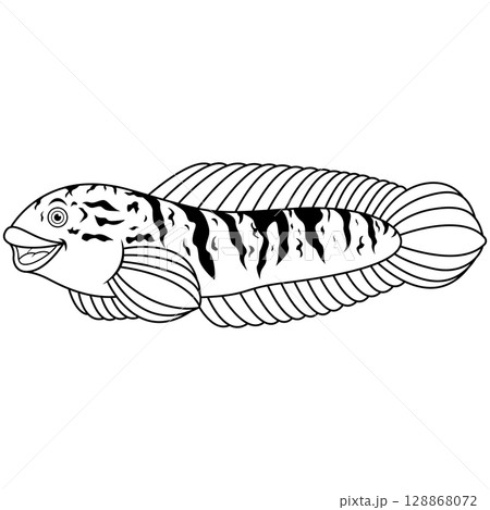 Snakehead fish channa line art 128868072