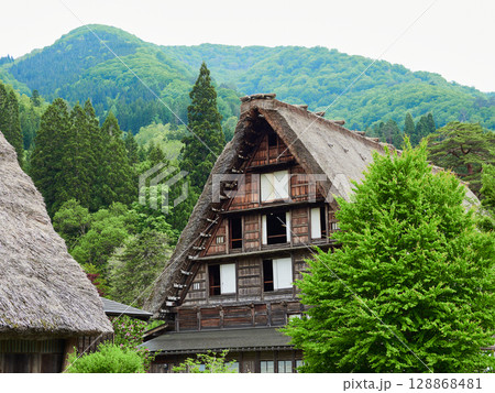 初夏の世界遺産白川郷の合掌造りと新緑の風景 初夏の世界遺産白川郷の合掌造りと新緑の風景 128868481