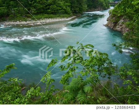 世界遺産白川郷の山の新緑と庄川の風景 128868483