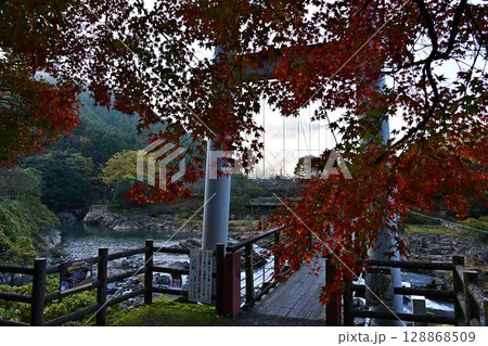 川代公園の紅葉 川代公園の紅葉 128868509