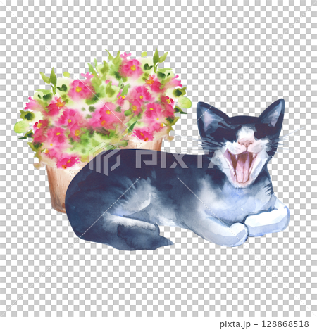 Watercolor composition with a yawning black and white cat on a background of turquoise flowers in pots, hand-drawn. The illustration is isolated on a white background. A template for postcards and 128868518
