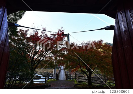 川代公園の紅葉 川代公園の紅葉 128868602