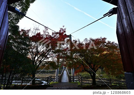 川代公園の紅葉 128868603