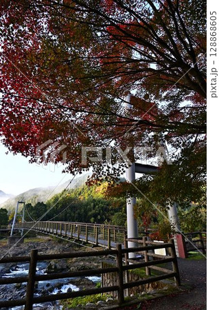 川代公園の紅葉 川代公園の紅葉 128868605