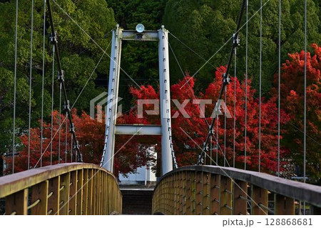 川代公園の紅葉 128868681