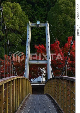 川代公園の紅葉 128868682