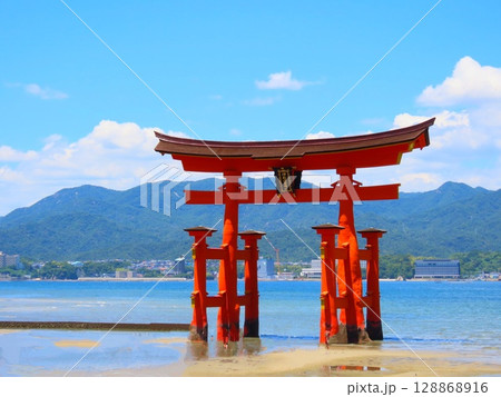 日本三景宮島の干潮時の大鳥居 日本三景宮島の干潮時の大鳥居 128868916