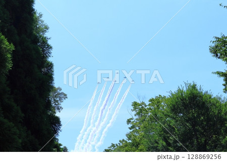 ブルーインパルス ブルーインパルス 128869256