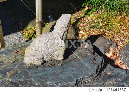 鎌倉宮 亀若丸(神奈川県鎌倉市) 鎌倉宮 亀若丸(神奈川県鎌倉市) 128869287