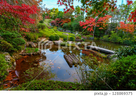 妙心寺退蔵院 余香苑 妙心寺退蔵院 余香苑 128869375