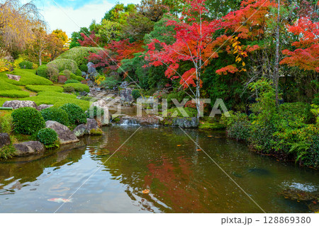 妙心寺退蔵院 余香苑 妙心寺退蔵院 余香苑 128869380