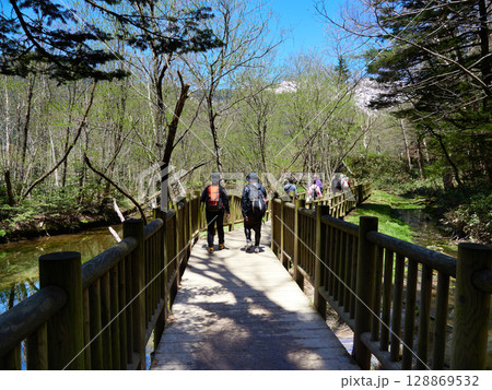 初夏の観光名所上高地の湿原の散策道を渡る人々の観光客の姿 初夏の観光名所上高地の湿原の散策道を渡る人々の観光客の姿 128869532