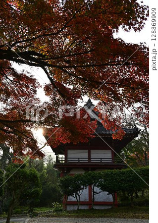 常勝寺の紅葉 常勝寺の紅葉 128869909