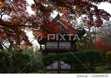 常勝寺の紅葉 128869910