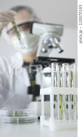 Close up of test tubes with a scientist analyzing plant samples in test tubes with a microscope, conducting research in a laboratory. Medicine, healthcare and science concept 128870183