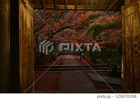円通寺の紅葉 円通寺の紅葉 128870208