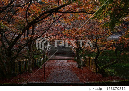 円通寺の紅葉 円通寺の紅葉 128870211