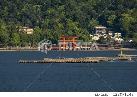 世界遺産・日本三景厳島神社大鳥居 広島県廿日市市宮島 世界遺産・日本三景厳島神社大鳥居 広島県廿日市市宮島 128871143