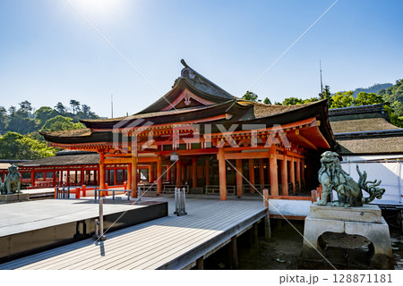 世界遺産・日本三景厳島神社本社祓殿　広島県廿日市市宮島 128871181