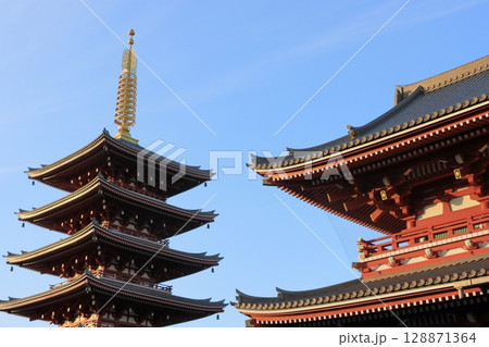 夕日に輝く浅草寺の五重塔 128871364