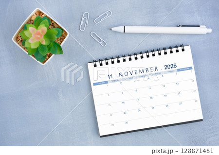 November 2026 desk calendar for 2026 and plant pot with pen on blue cement, Flat lay. 128871481