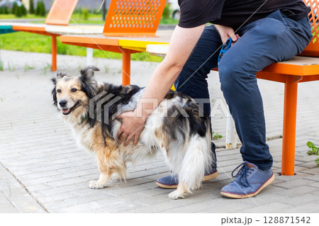 A man can be seen sitting on a bench while gently petting a dog 128871542