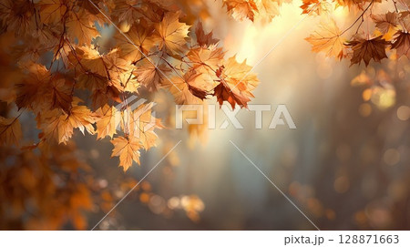 鮮やかな紅葉 128871663