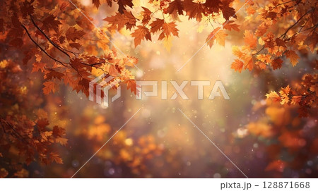 鮮やかな紅葉 128871668