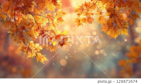 光に照らされる紅葉 128871674