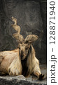 goat in the zoo 128871940