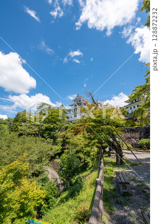 岐阜県　郡上八幡城 128872232