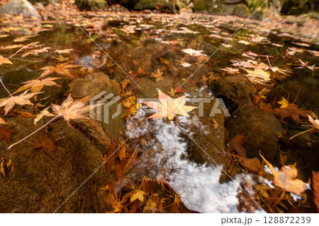 三重県　名張市　赤目四十八滝 128872239