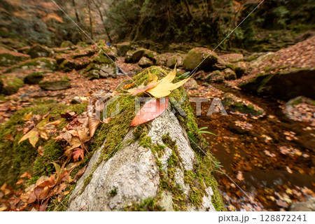 三重県　名張市　赤目四十八滝 128872241