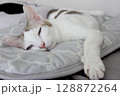 The cat lay on gray bed 128872264