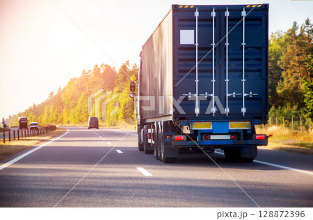 Container truck tractor transports sea container with cargo on asphalt road against forest and nature background. Copy space for text 128872396