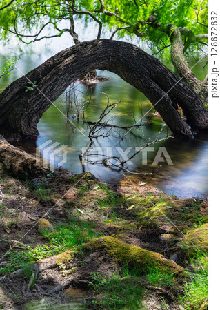 ニュージーランド　ホークスベイにあるトゥティラ湖の湖畔の風景 128872832