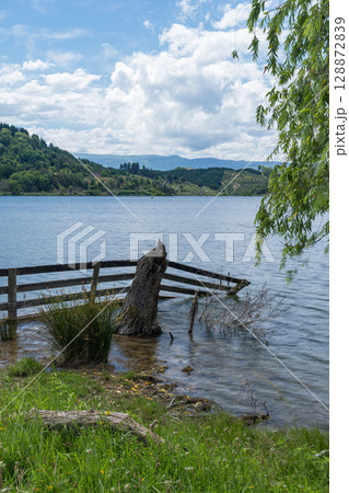 ニュージーランド　ホークスベイにあるトゥティラ湖の湖畔の風景 128872839