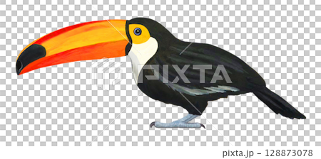 オニオオハシのイラスト 128873078