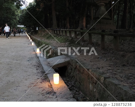 百万灯篭の春日大社（奈良） 128873238