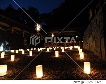 百万灯篭の春日大社（奈良） 128873246