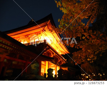 百万灯篭の春日大社(奈良) 百万灯篭の春日大社(奈良) 128873253