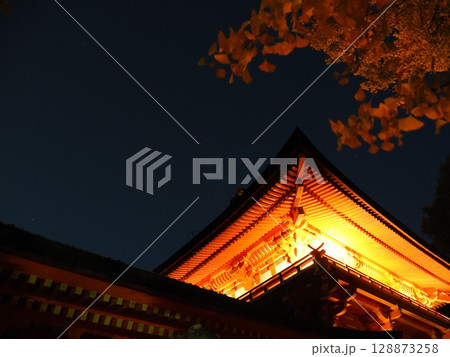 百万灯篭の春日大社（奈良） 128873258