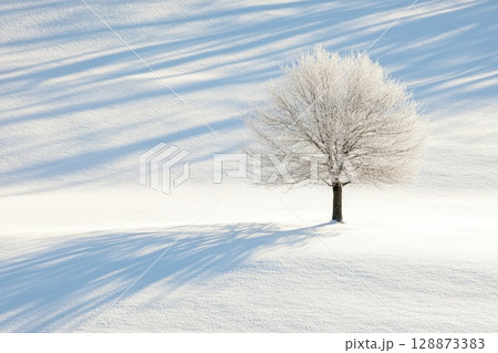 Serene Winter Field Covered in Fresh Snow 128873383