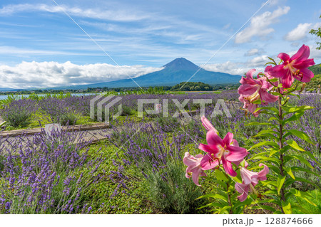 富士山　ラベンダー畑　河口湖 128874666