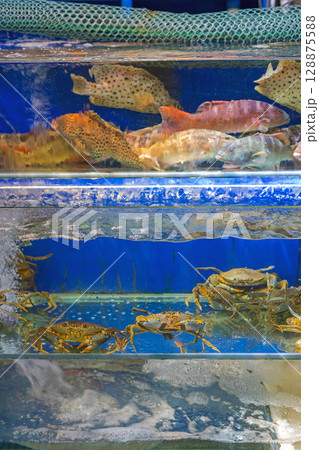 Live Crabs in Tank Live Crabs in Tank 128875588