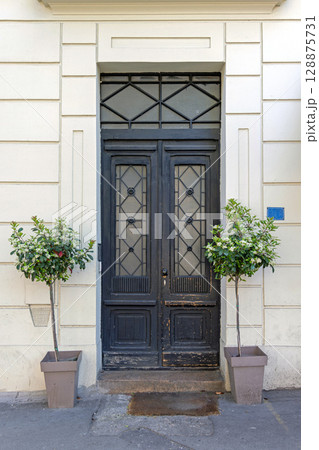 Potted Trees House Doors 128875731